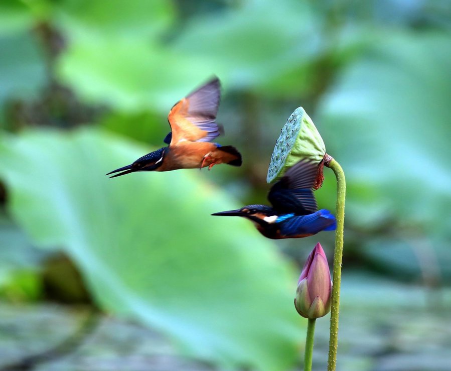 调整大小 IMG_9719.jpg