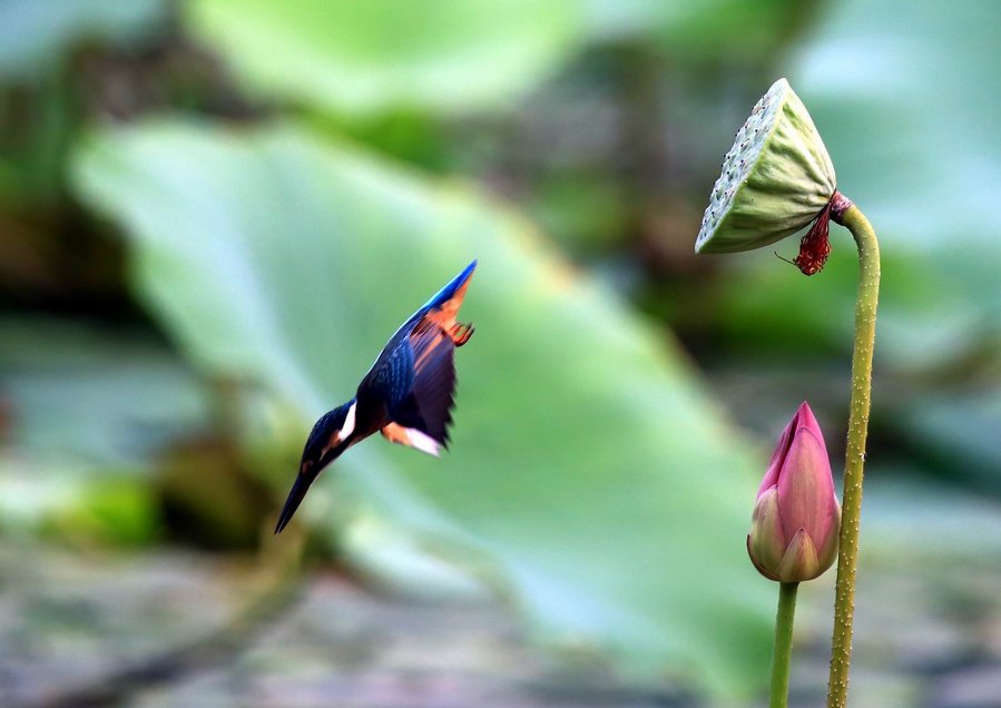 调整大小 IMG_9731.jpg