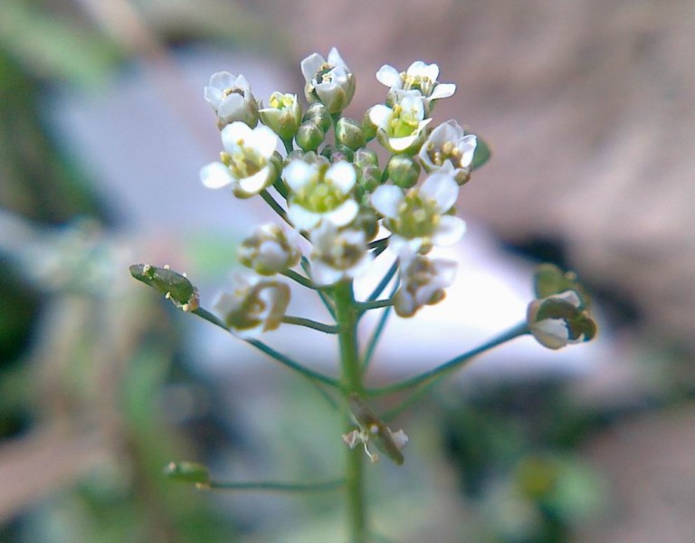 20110326277.jpg