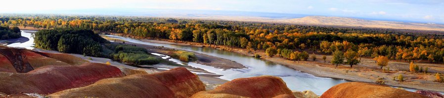 调整大小 三合一1.jpg