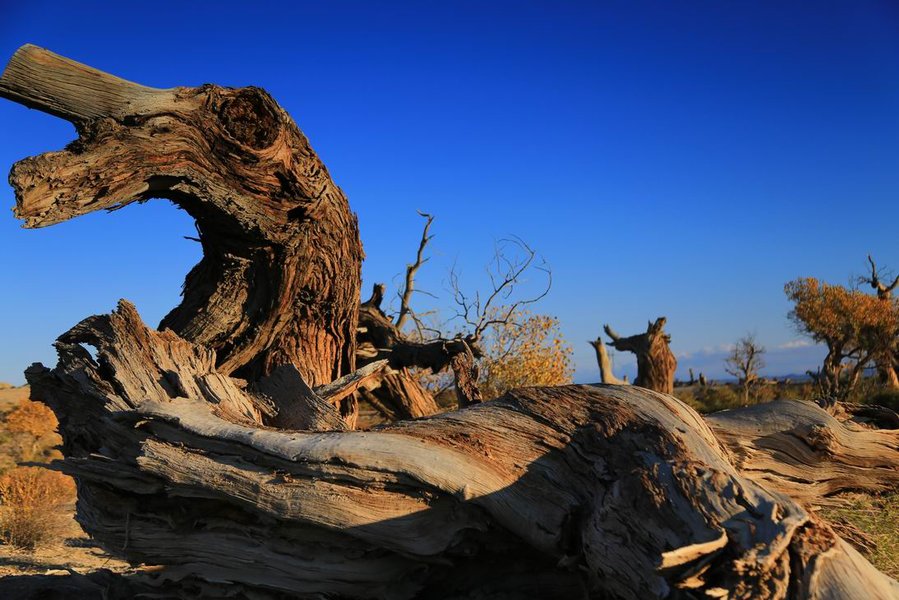 调整大小 IMG_3946.JPG