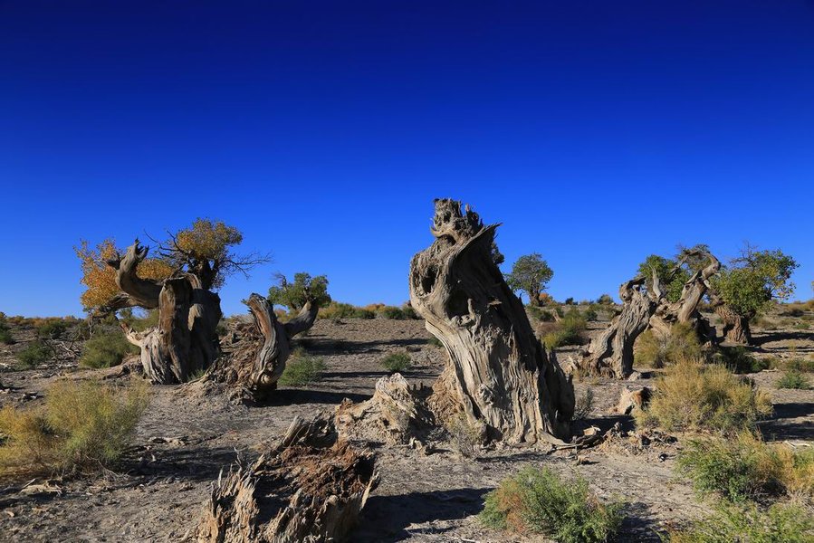 调整大小 IMG_4035.JPG