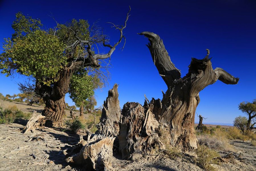 调整大小 IMG_4036.JPG