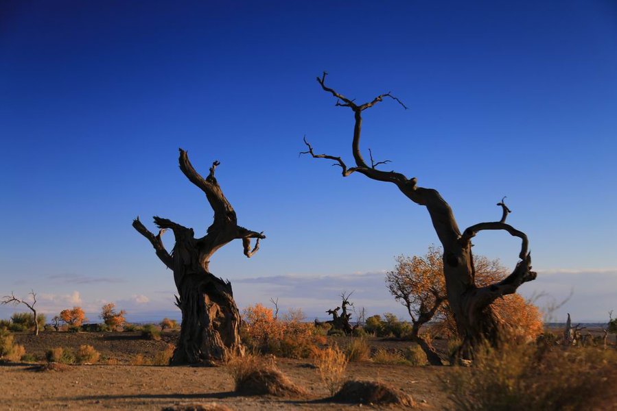 调整大小 IMG_3955.JPG