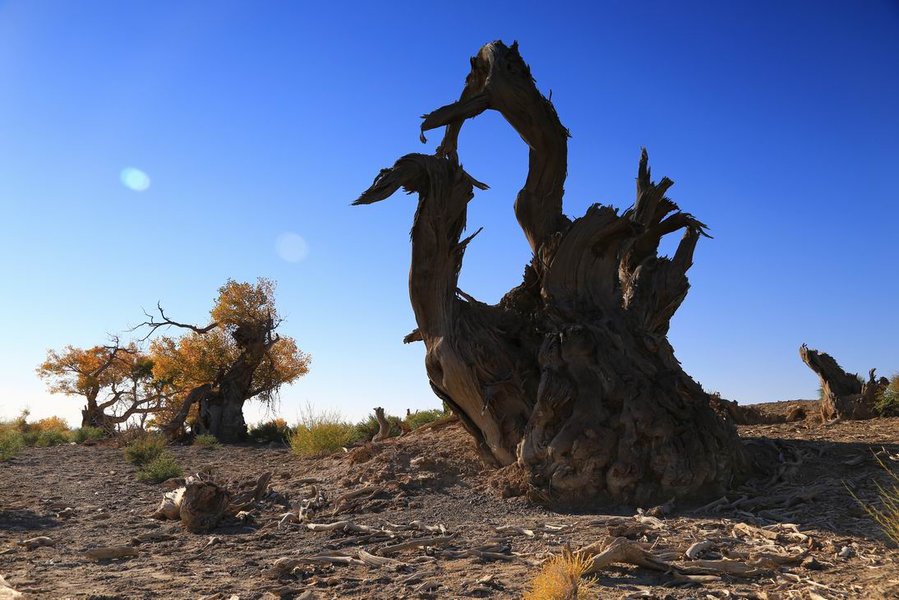 调整大小 IMG_4038.JPG