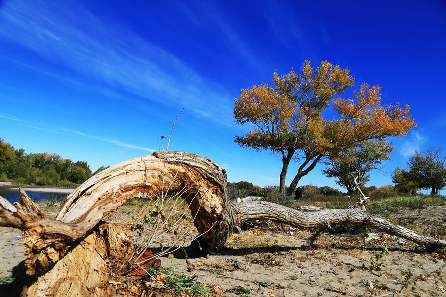 调整大小 IMG_26141.jpg