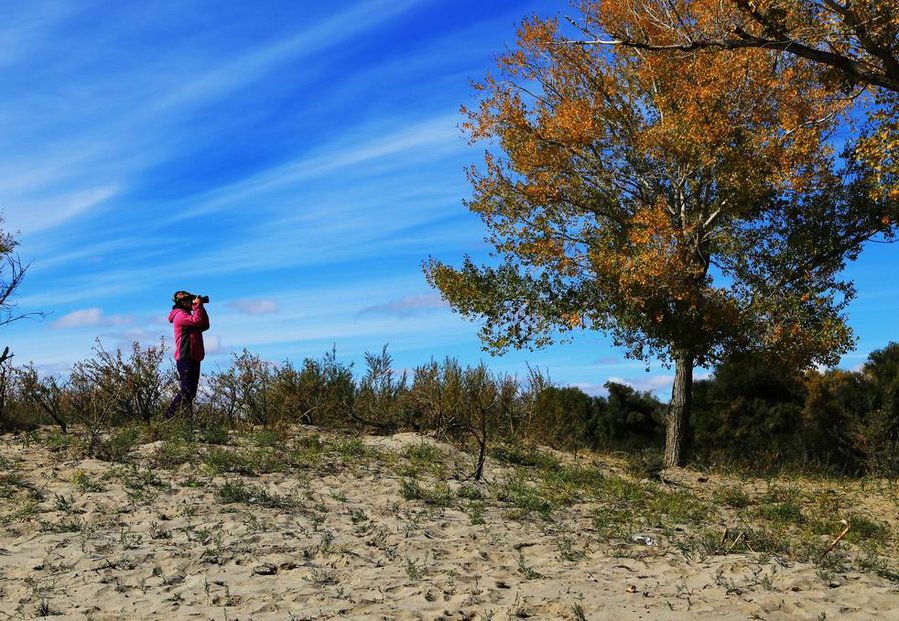 调整大小 IMG_26211.jpg