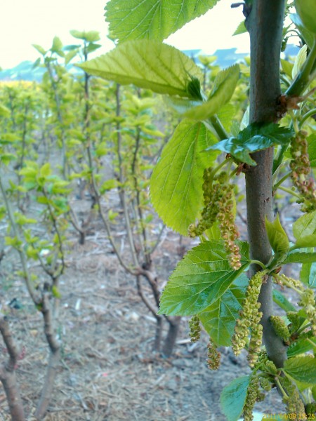 IMAG0051.jpg