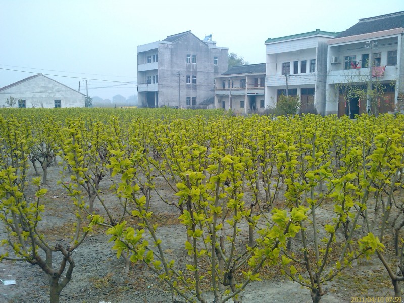 IMAG0054.jpg