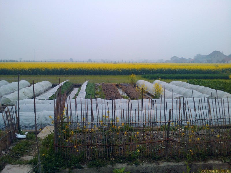 IMAG0055.jpg