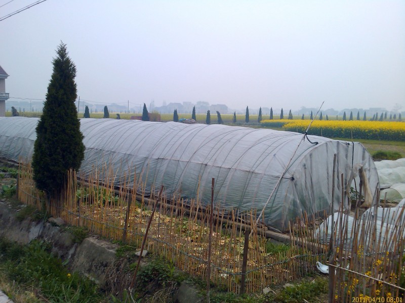 IMAG0056.jpg