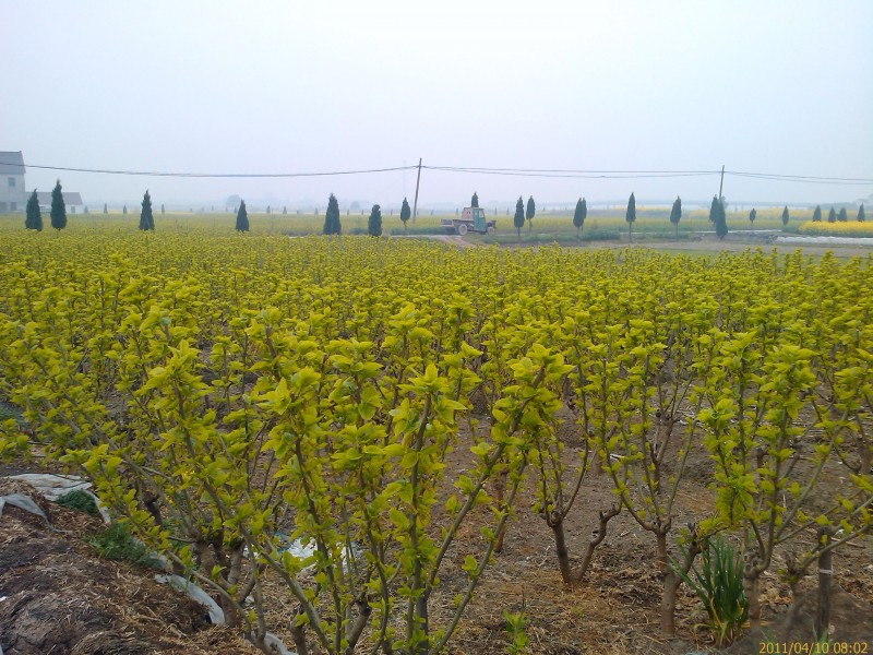 IMAG0057.jpg
