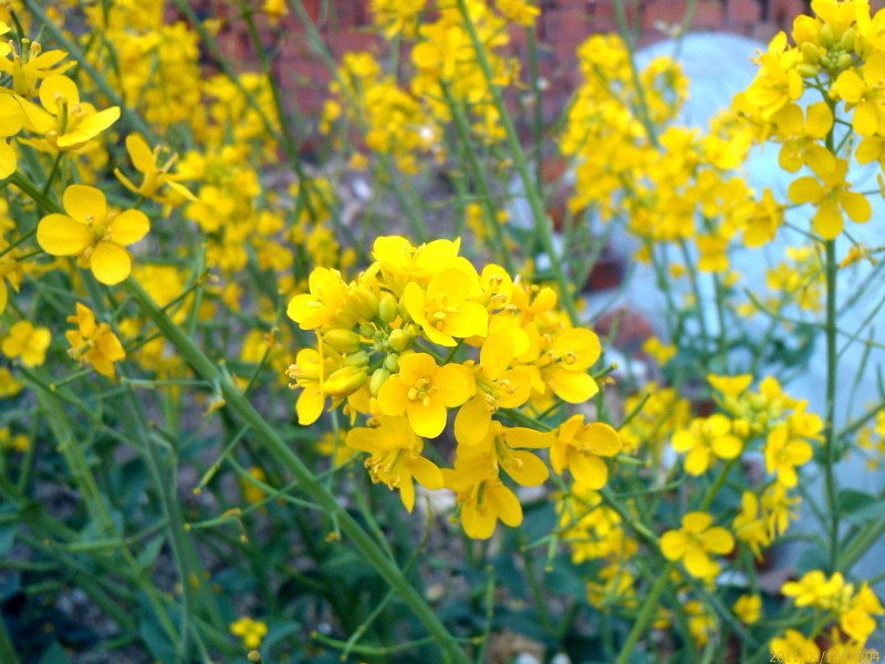 IMAG0058.jpg