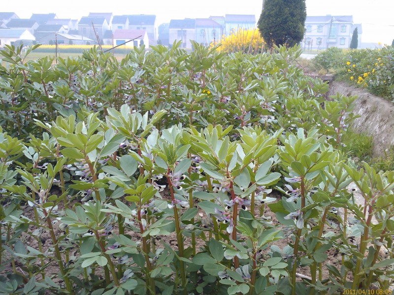 IMAG0060.jpg