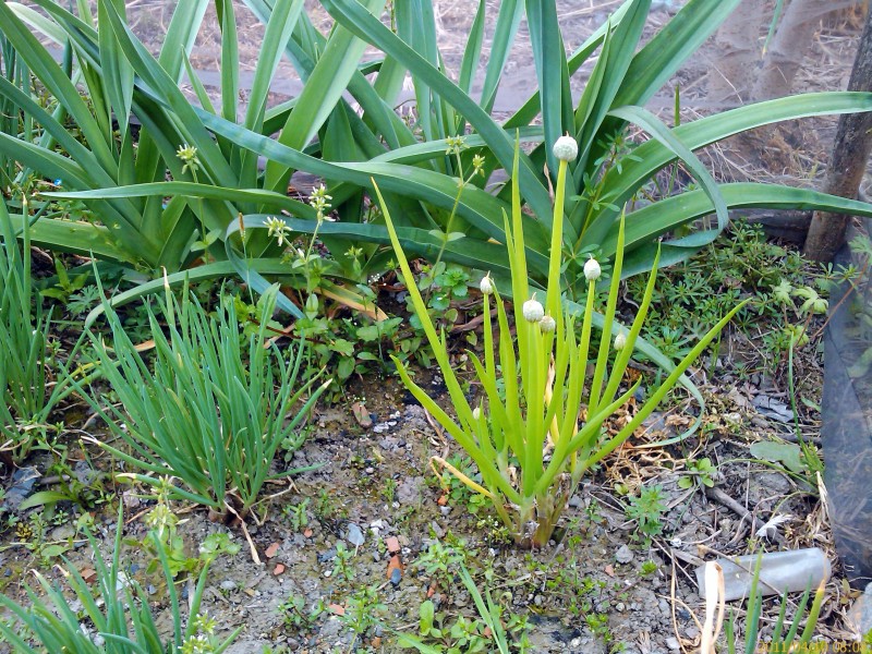 IMAG0062.jpg