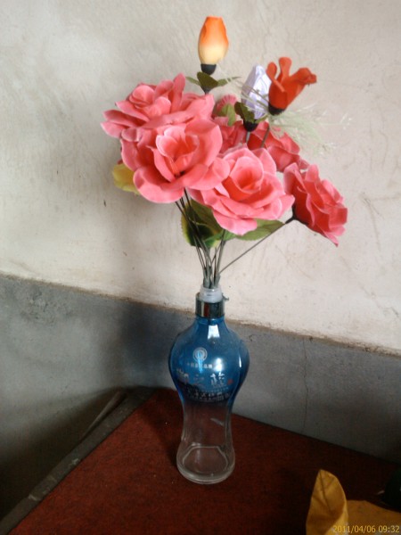 IMAG0039.jpg