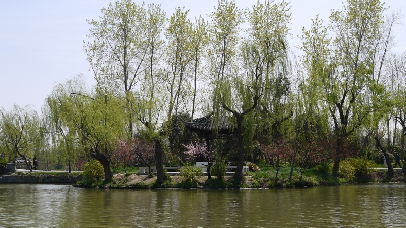 复件 P1290115.1.jpg