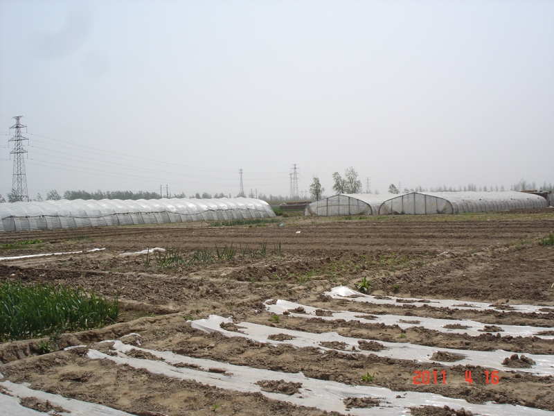 DSC00083.JPG