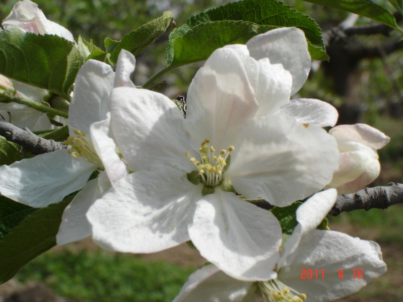 DSC00044.JPG