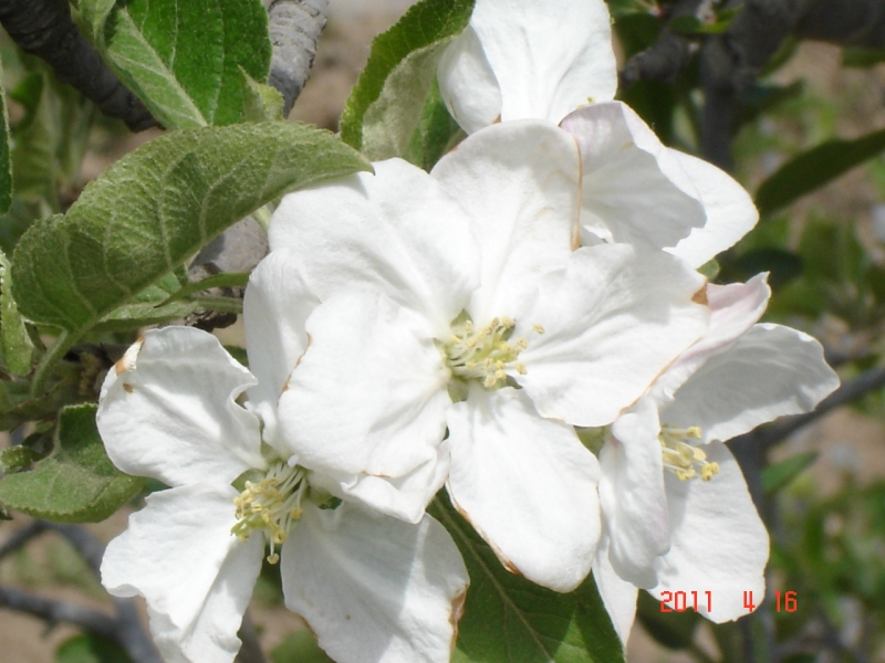 DSC00048.JPG