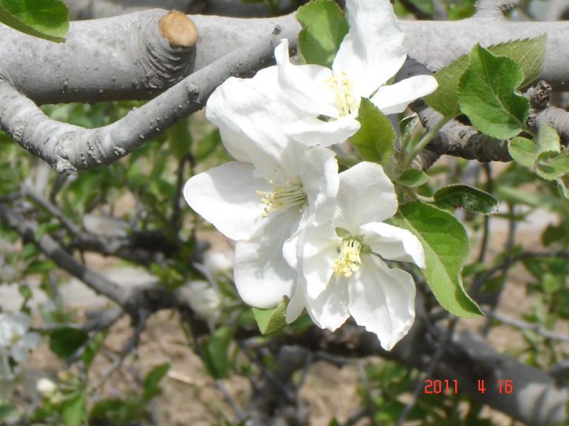 DSC00049.JPG