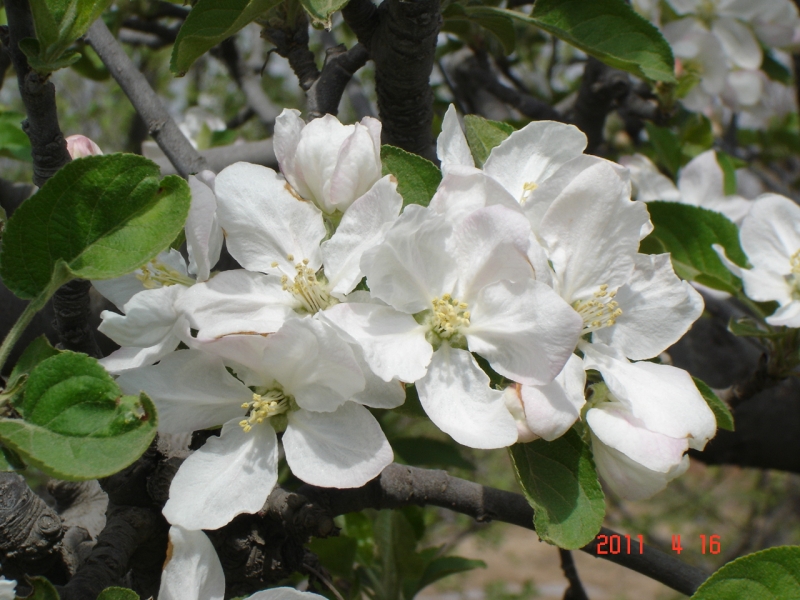 DSC00050.JPG