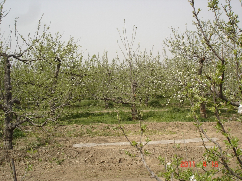 DSC00052.JPG