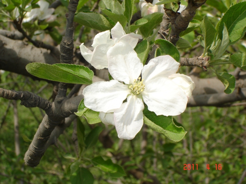 DSC00059.JPG