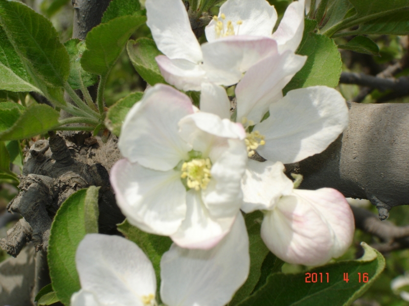 DSC00060.JPG
