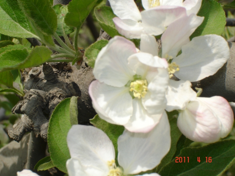 DSC00061.JPG