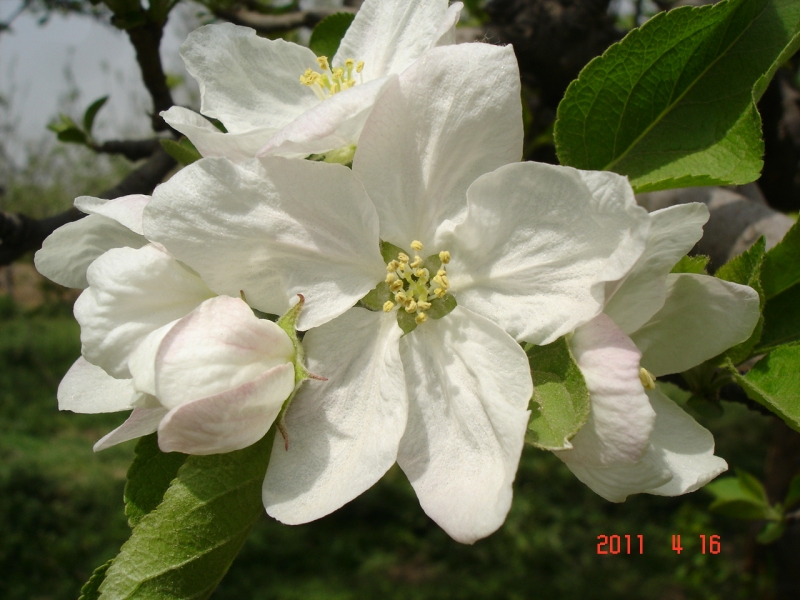 DSC00063.JPG