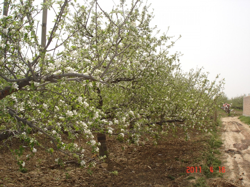 DSC00064.JPG