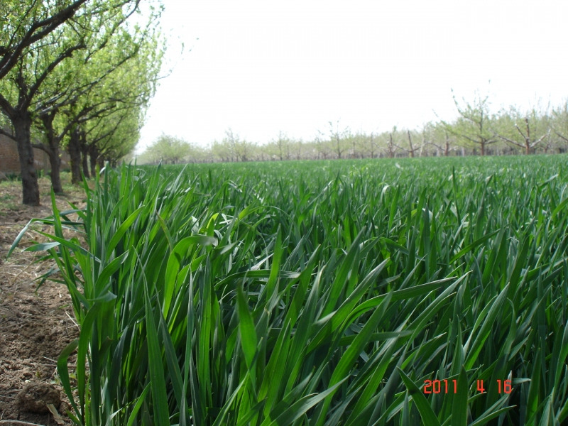 DSC00066.JPG