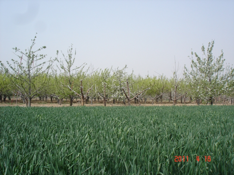 DSC00067.JPG