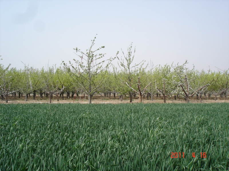 DSC00072.JPG