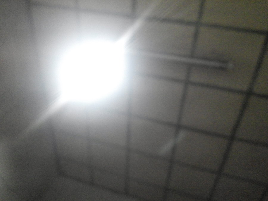 CAM08585.jpg