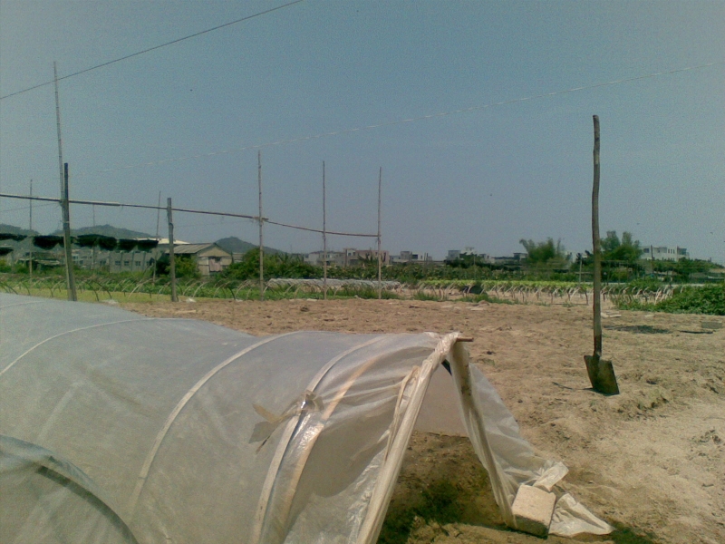 20090502.jpg