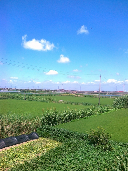20100822018.jpg