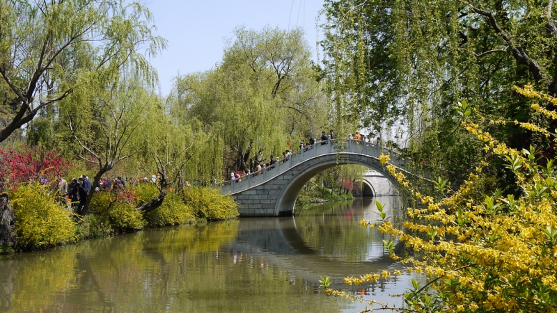 复件 P1280795.1.jpg