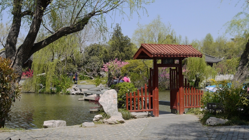 复件 P1280848.1.jpg