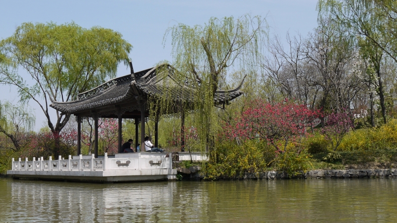 复件 P1290025.1.jpg