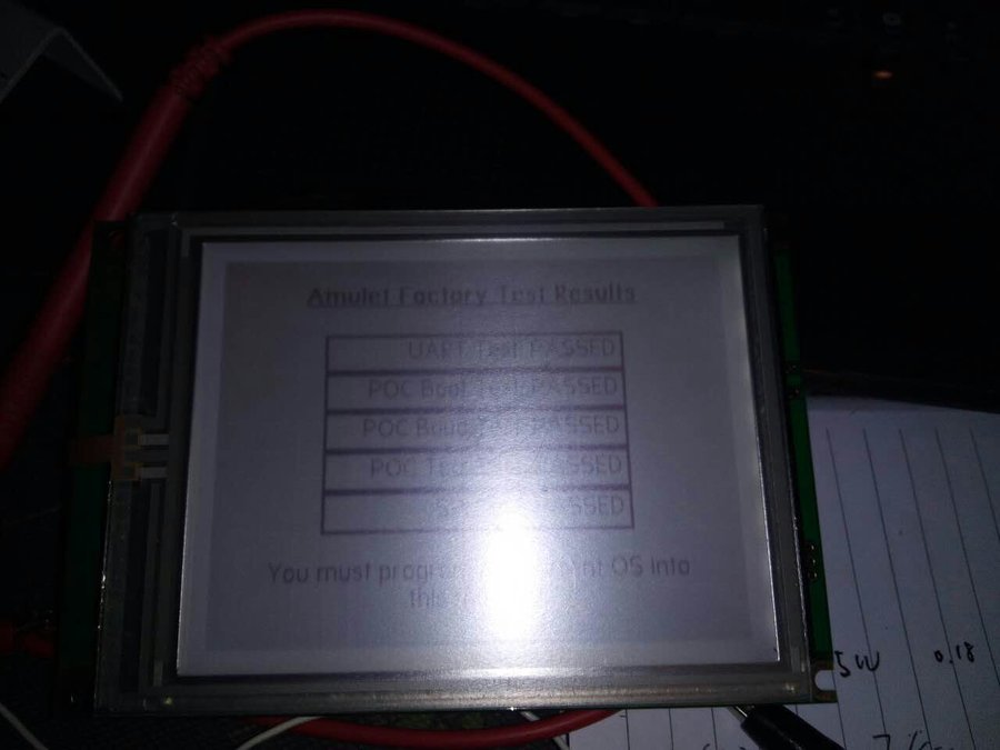 shelly 显示-1 (1).jpg