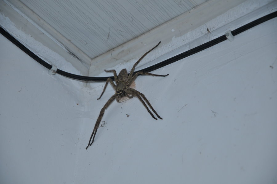 DSC_7904.JPG