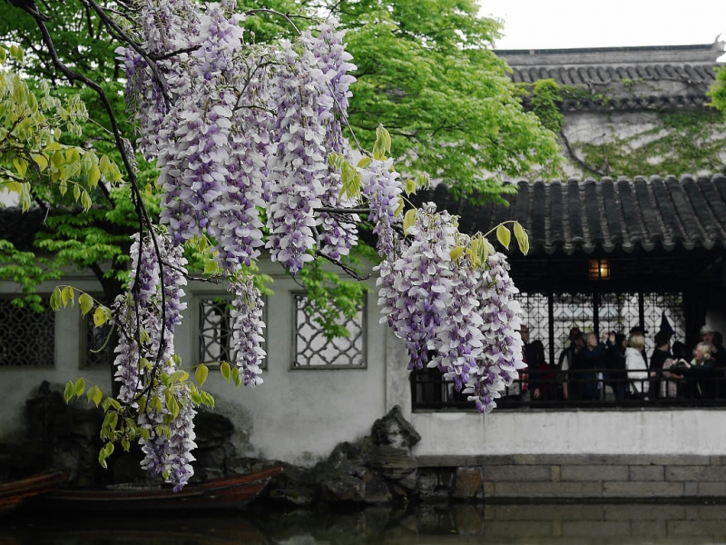 花开季节.00.jpg