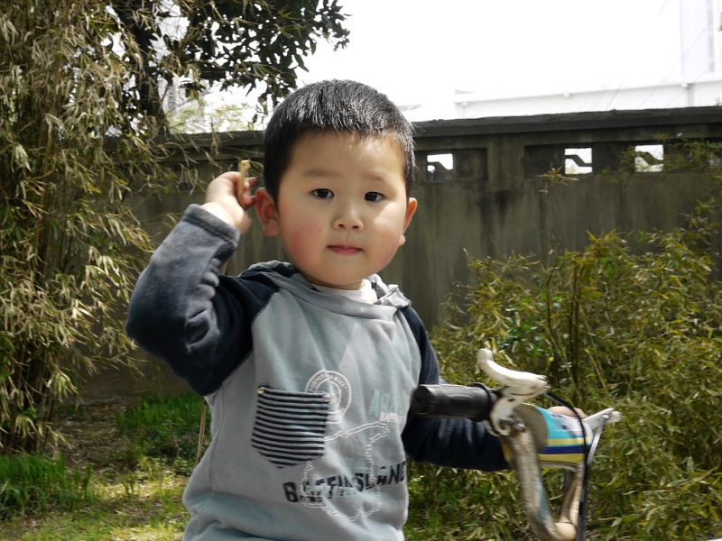 P1300991.0.jpg