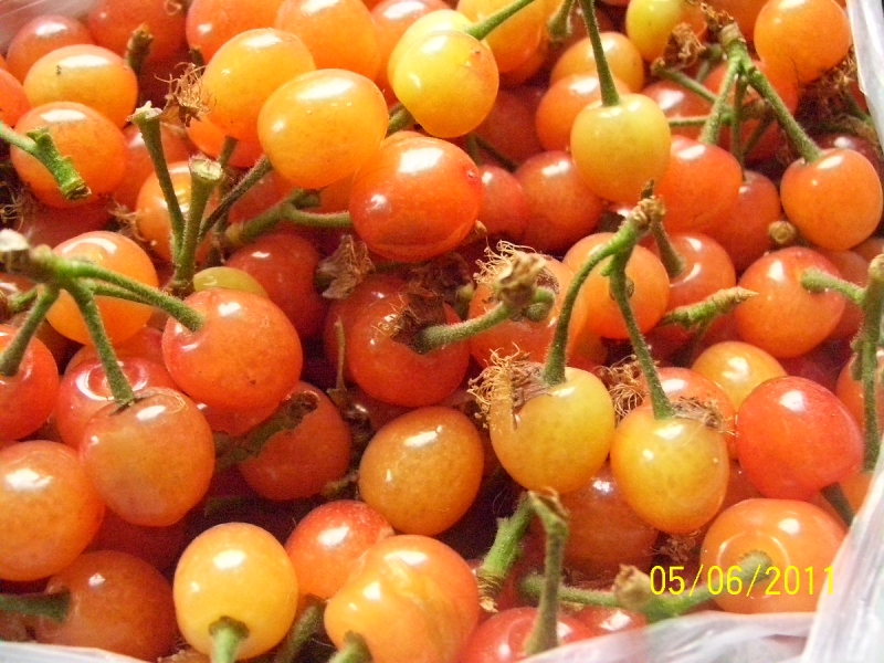 照片2011年5月2日 069.jpg