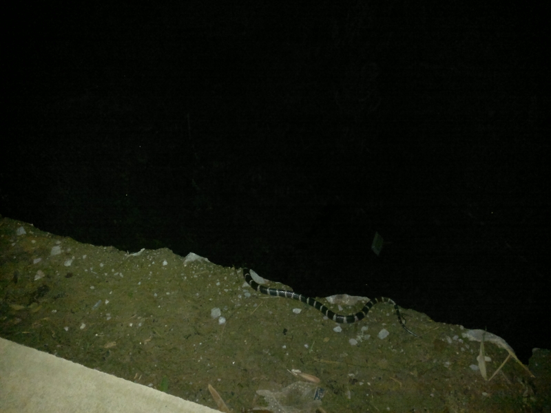 20110508455.jpg