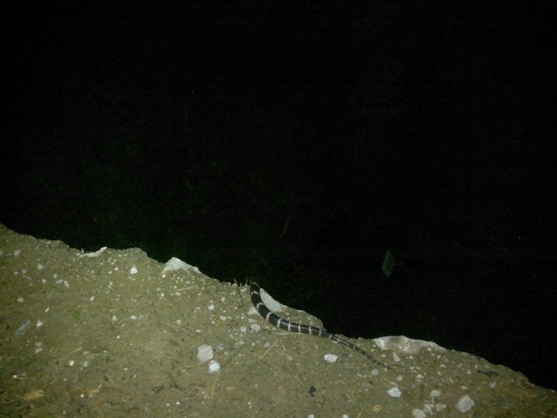 20110508456.jpg