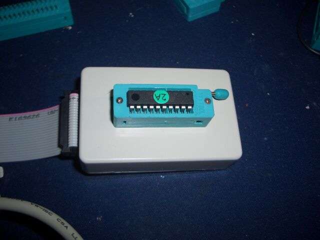 CIMG2126.jpg