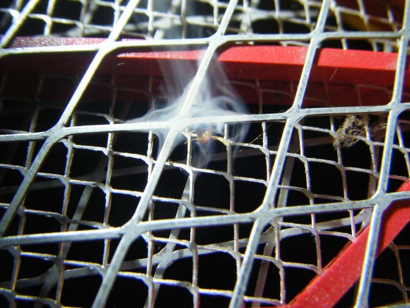 nEO_IMG_DSCF0020.jpg
